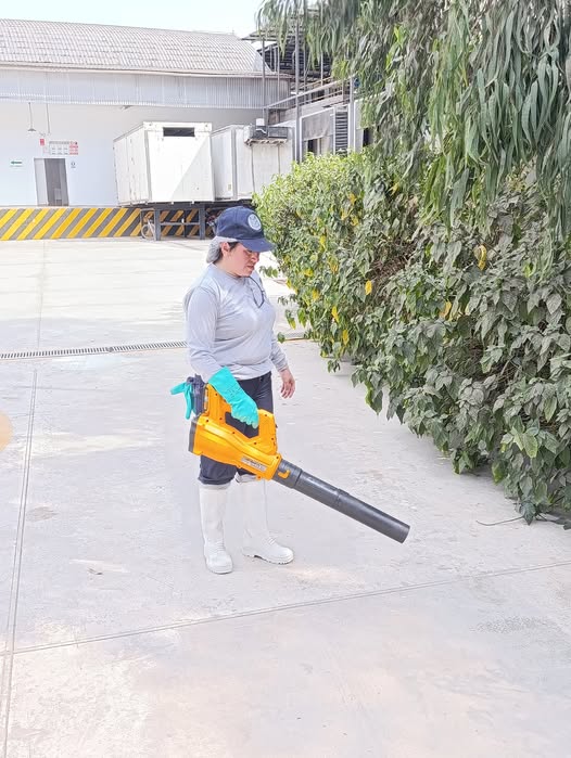 Servicio profesional de jardinería