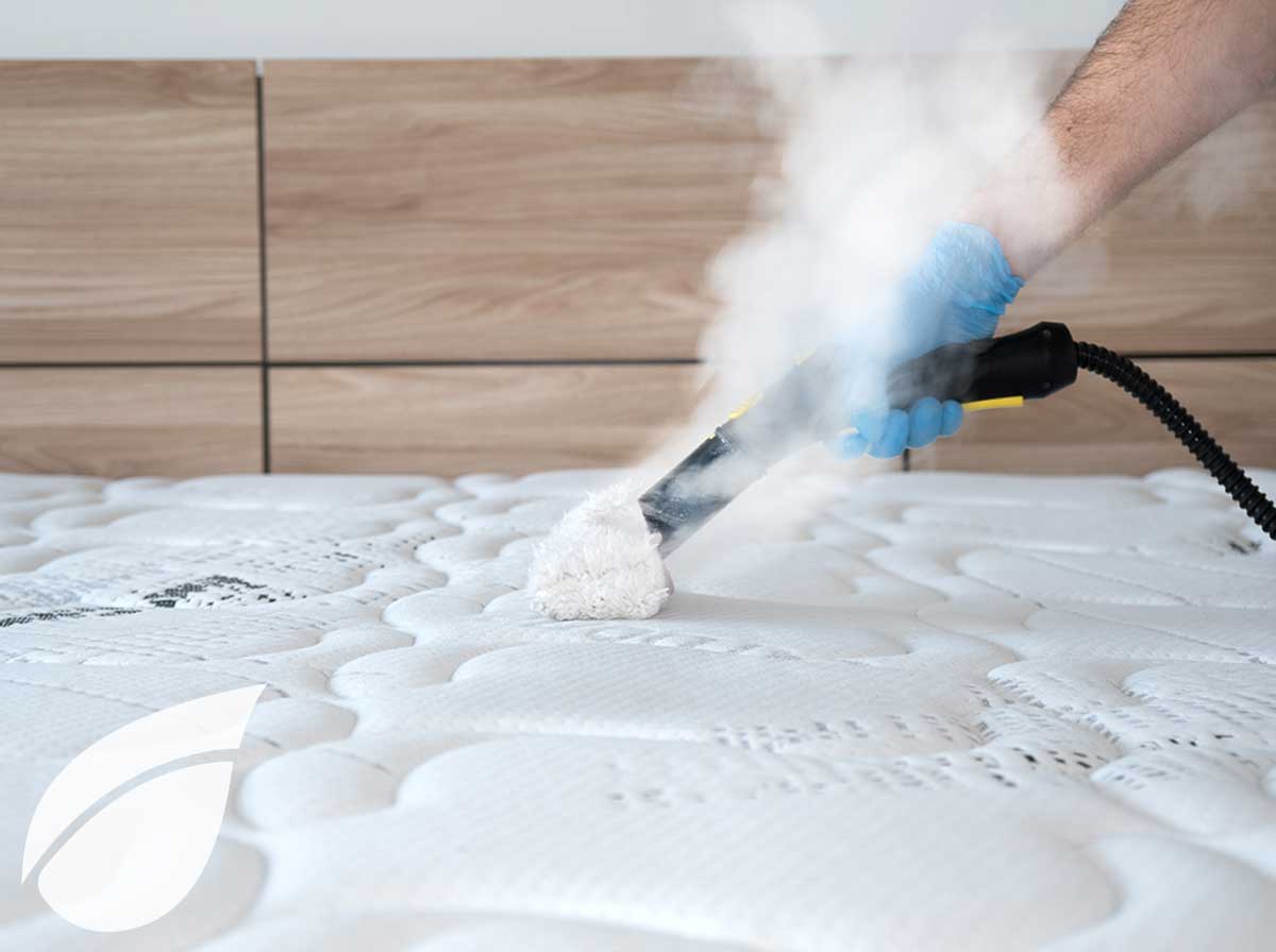 Servicio de limpieza y desinfección a vapor