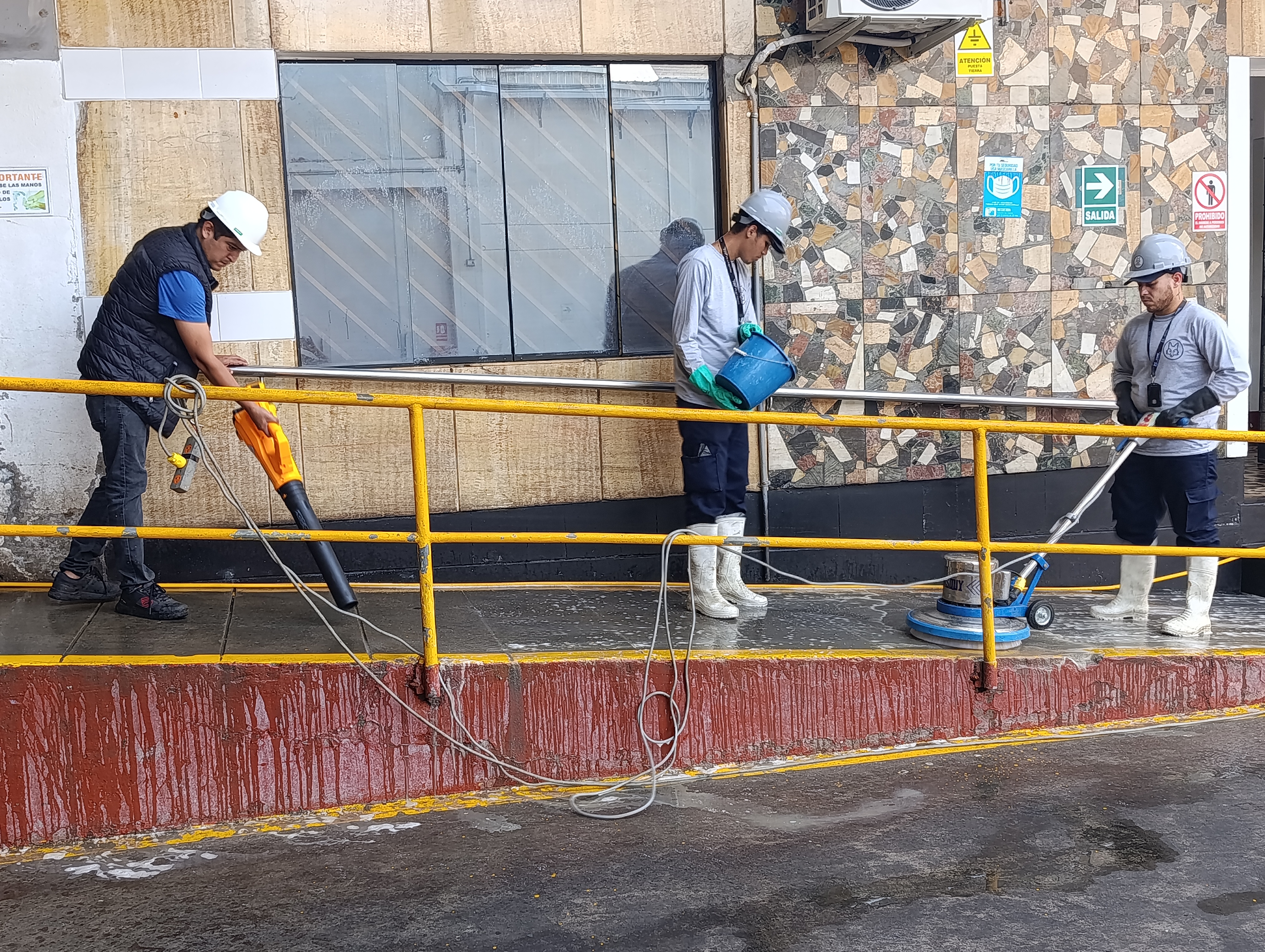 Servicios de limpieza profesional